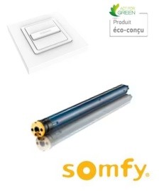 Moteur SOMFY filaire LT50 + interrupteur