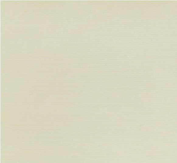 5162 - CHAMPAGNE (primera BO ALU)