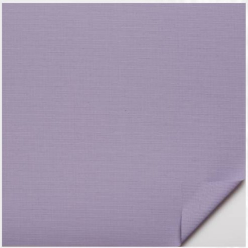 009 - Violet