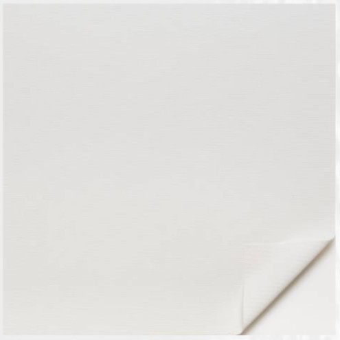 037 - White